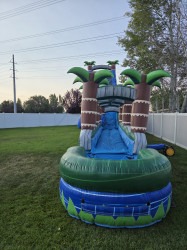20250723 195910 1755848049 GIANT Tropical Slide ( Tropic Thunder)