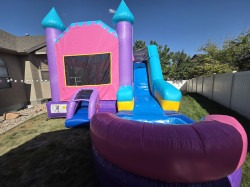 20250803 165326 1772086820 6 in 1 PRINCESS Combo Wet or Dry