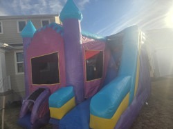 6 in 1 PRINCESS Combo Wet or Dry 20260208 161544 1772086820 6 in 1 PRINCESS Combo Wet or Dry