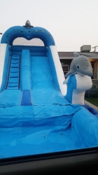 Dolphin Slide